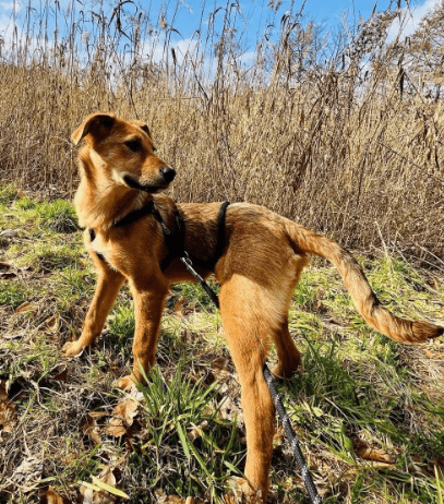 2026 03 04 11 56 57 Desktop – Datei Explorer