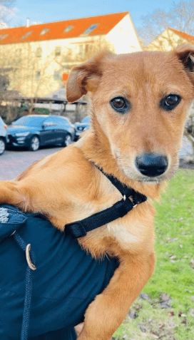 2026 03 04 11 57 01 Desktop – Datei Explorer