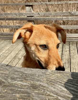 2026 03 04 11 57 08 Desktop – Datei Explorer