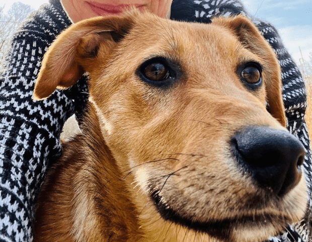 2026 03 04 11 57 11 Desktop – Datei Explorer