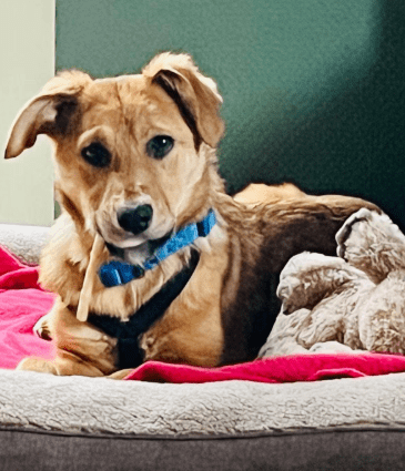 2026 03 04 11 57 23 Desktop – Datei Explorer