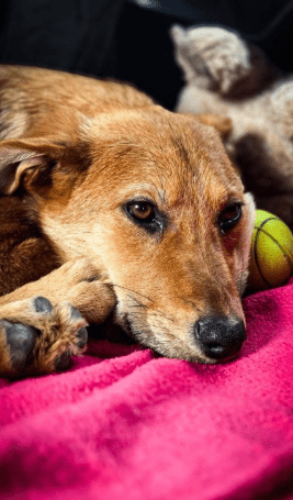 2026 03 04 11 57 29 Desktop – Datei Explorer