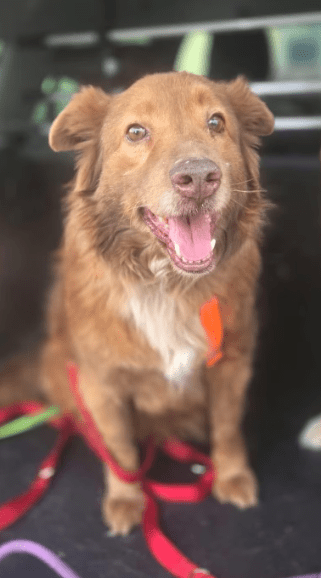 2026 03 20 08 48 11 PPM Project Initiation Document.pptx PowerPoint