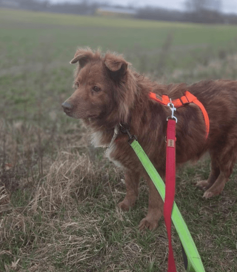 2026 03 20 08 48 15 PPM Project Initiation Document.pptx PowerPoint