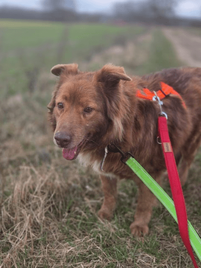 2026 03 20 08 48 19 PPM Project Initiation Document.pptx PowerPoint