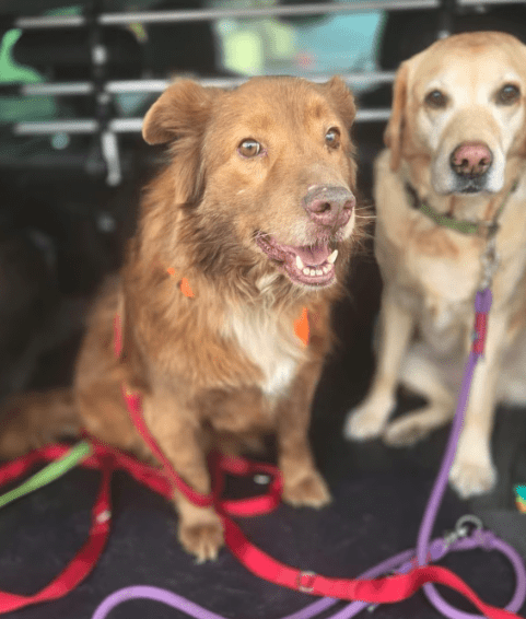 2026 03 20 08 48 24 PPM Project Initiation Document.pptx PowerPoint