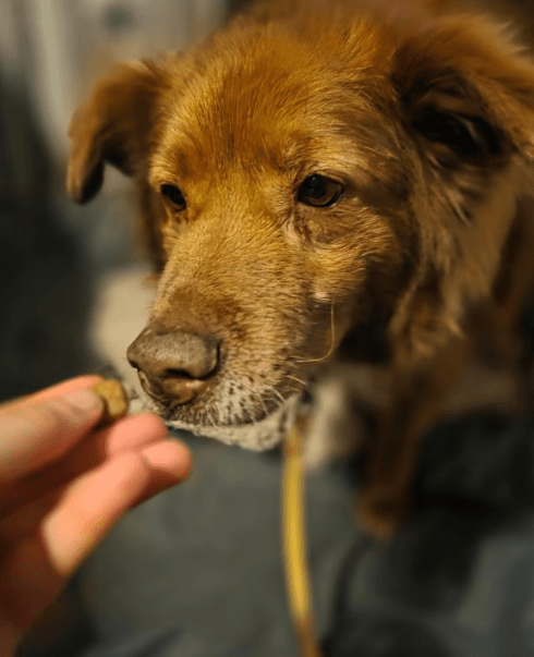 2026 03 20 08 48 28 PPM Project Initiation Document.pptx PowerPoint