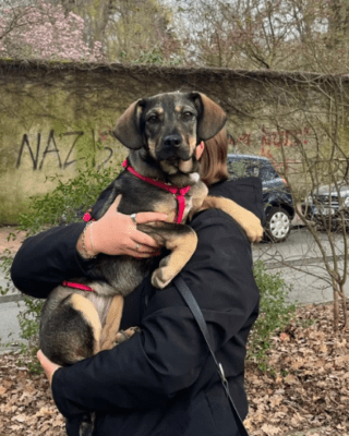 Uschi (G)