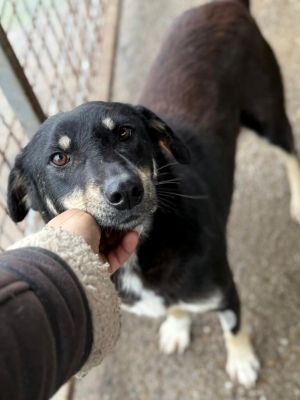 2077fb3e 8ef4 4e56 9291 efe2ef68cb11 1 768x1024