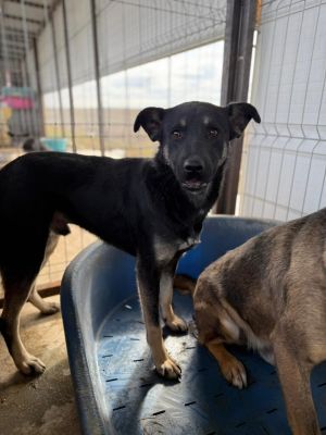 2428412d c847 45f5 a942 c516df7c7a76 1 768x1024