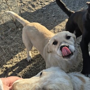 3 Kopie