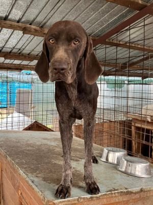 51513fcc 0e41 488c 984b 320ef748dd11 768x1024