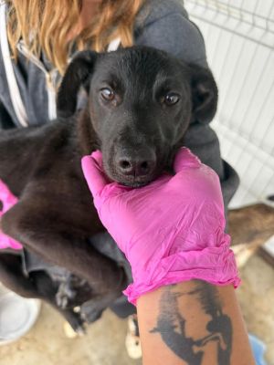 540393555 30979380441706005 6744860092455615163 n