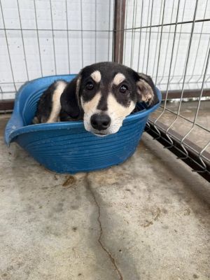 540428005 30979261698384546 3865727708925834487 n