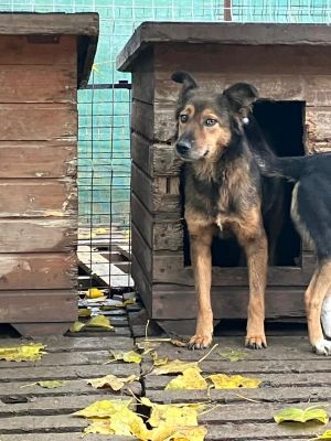 5404ff89 8098 4838 a803 602209affac7 768x1024