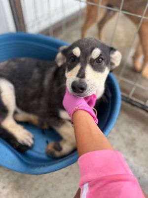 540997243 30979260888384627 2761902239813698878 n