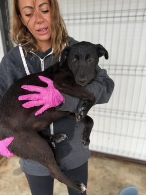 541248913 30979381025039280 8657609877255639280 n