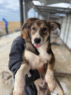 541361299 30979155921728457 3517534882637191826 n