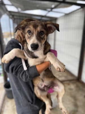 542293537 30979156268395089 8842493832539872491 n