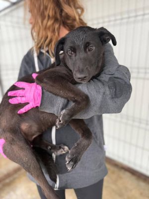 542659073 30979381335039249 3415341652301610644 n