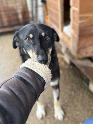 550d6ba7 9487 4d48 92f2 8d70150903e0 768x1024