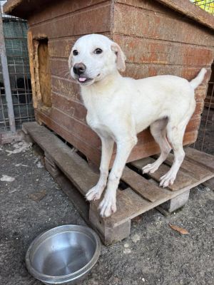 565666040 24972537879053470 8254792521149197520 n