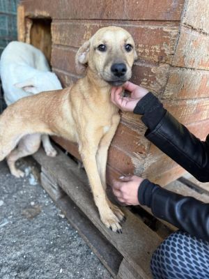 565792800 24972646852375906 8074044114463542123 n