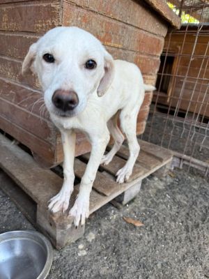 565820846 24972537882386803 719984543582958829 n