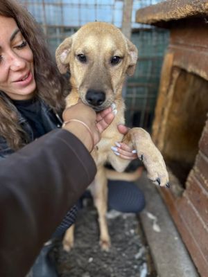 566201289 24972646845709240 6882665961138513255 n