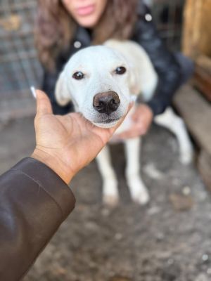 567706013 24972537662386825 5167901762174883009 n