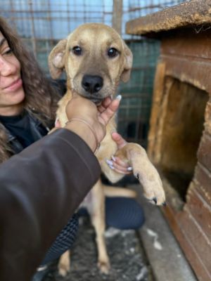 567706013 24972647352375856 3240704685482446769 n