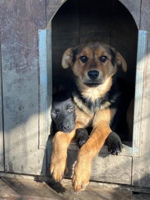 577064753 25350804584560129 1013476304480866696 n