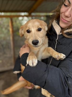 586834728 25305443639096224 7318289579456253179 n