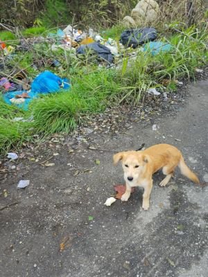 587254849 25305443942429527 7988473079410399501 n