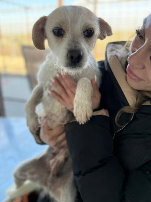 587456314 25305306599109928 4783083827615090395 n