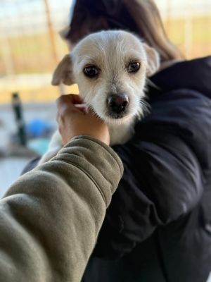 588571862 25305306602443261 1444176757671234280 n