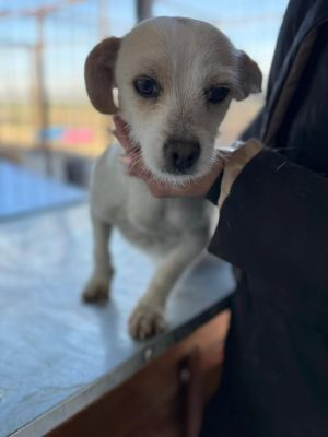 588821860 25305306982443223 6494080258190541303 n