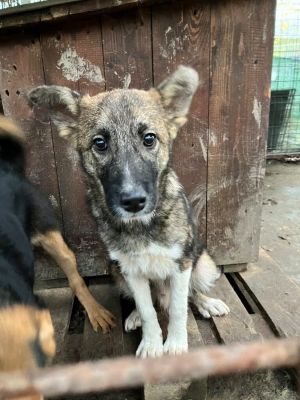 588873057 25350872627886658 2201015791534599898