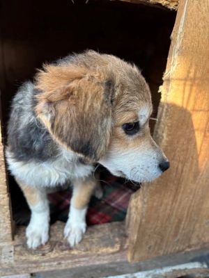 589544804 25350736261233628 4623987803015154994 n