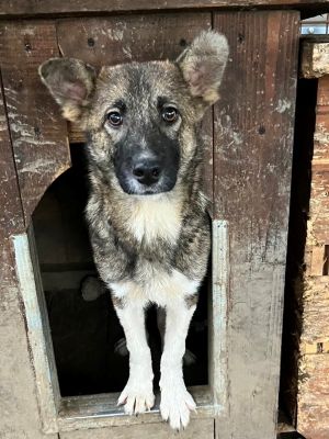 589652869 25350872437886677 5707286581367208366 m