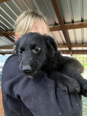 590721420 25350840797889841 5040828407892476521 n