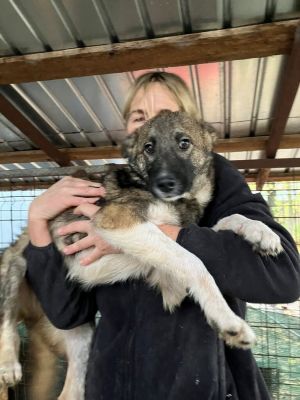 590756731 25350872414553346 3587614387413099068 v