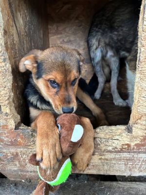 590759474 25350804931226761 3091027941237197339 n