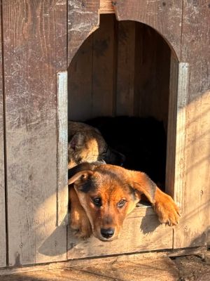 592135693 25350805111226743 8004129374414328795 n