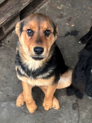 592909940 25350804554560132 2046642334860532642 n