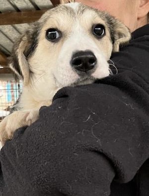 593269481 25350771037896817 4498421569987449332 n