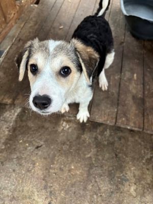 593304205 25350771474563440 1863257097853447447 n