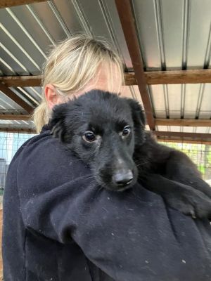 593315551 25350840637889857 1236344641669593485 n