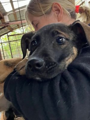 593466752 25408003652173555 7075553786827501872 n