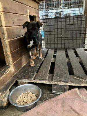 593547544 25408003438840243 2948722354998957213 n